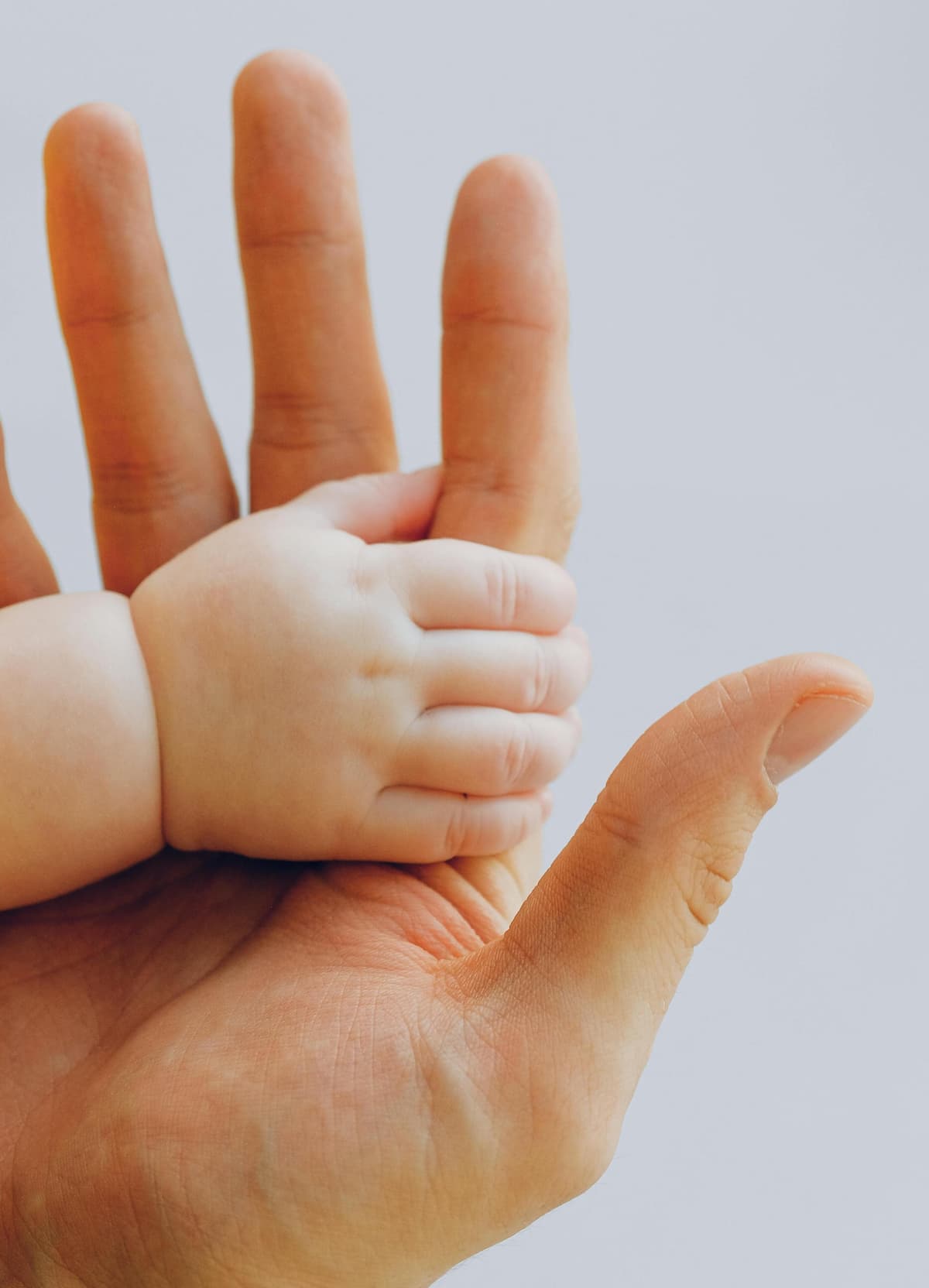 Foto de familias de la Asociación Petís en un picnic al aire libre